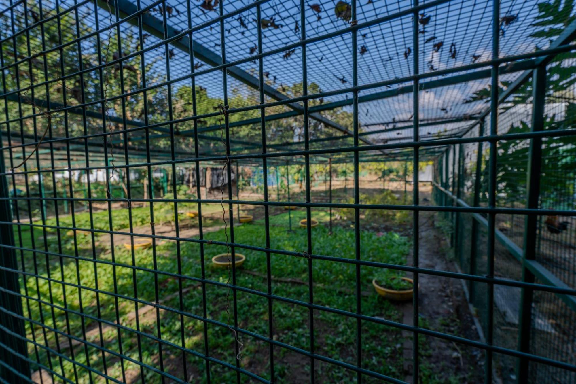Saffronstays Timber Crest Dehradun Exteriör bild